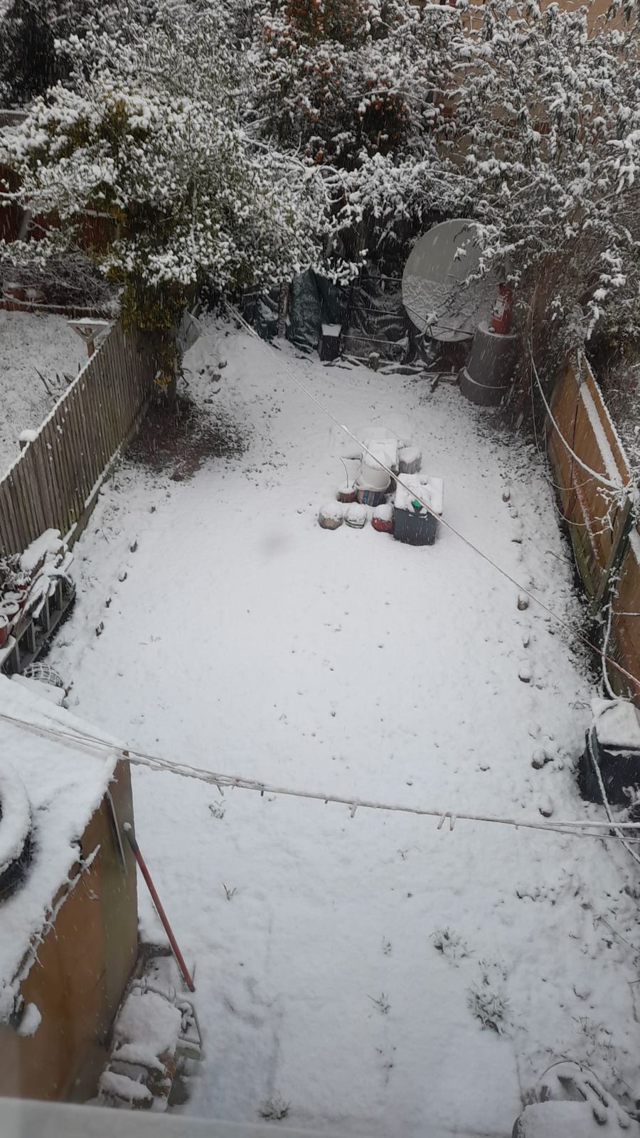 A garden and fences under fresh snow during heavy snowfall.